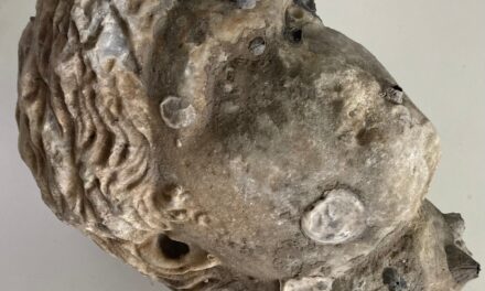 Ρωμαϊκή κεφαλή ανασύρθηκε από τη θάλασσα της Πρέβεζας