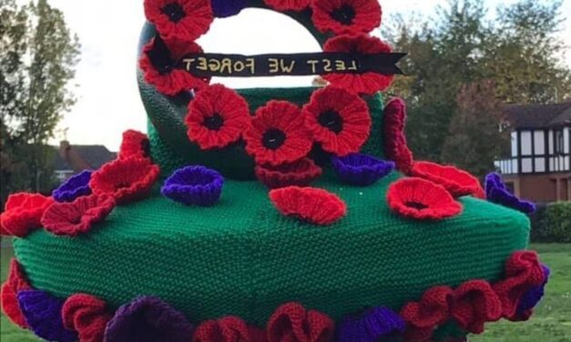 Η Βρετανία στολίζεται με πλεκτά κεντήματα για τα θύματα του Α’ Παγκοσμίου Πολέμου