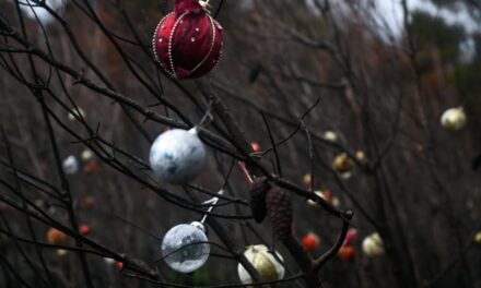 Χριστούγεννα 2021: Οι κάτοικοι της Βαρυμπόμπης στόλισαν τα καμμένα δέντρα