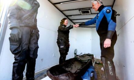 ΗΠΑ: Ανασύρθηκε κανό 1.200 ετών