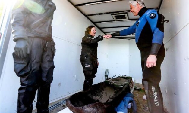 ΗΠΑ: Ανασύρθηκε κανό 1.200 ετών