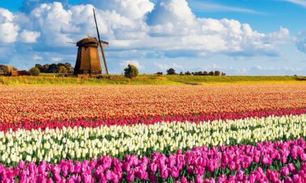 Google: Αυτές είναι οι τρείς νέες τάσεις για τα ταξίδια το 2022