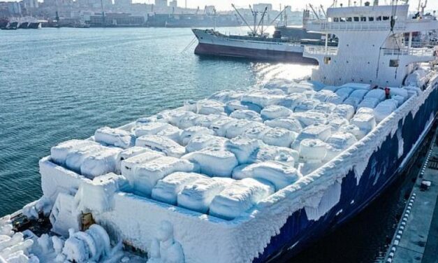 Ρωσία: Δεκάδες αυτοκίνητα πάγωσαν σε πλοίο (video)