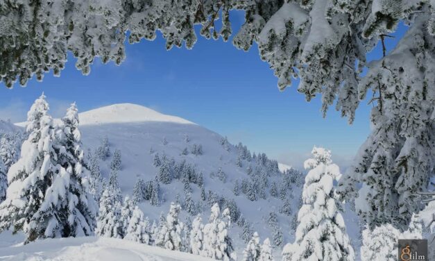 Ανακαλύπτοντας το Μαίναλο: Εκεί όπου η φύση συναντά την ιστορία