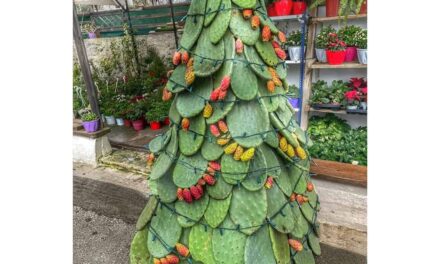 Αυτό είναι το πιο πρωτότυπο Χριστουγεννιάτικο δέντρο! Δείτε που βρίσκεται