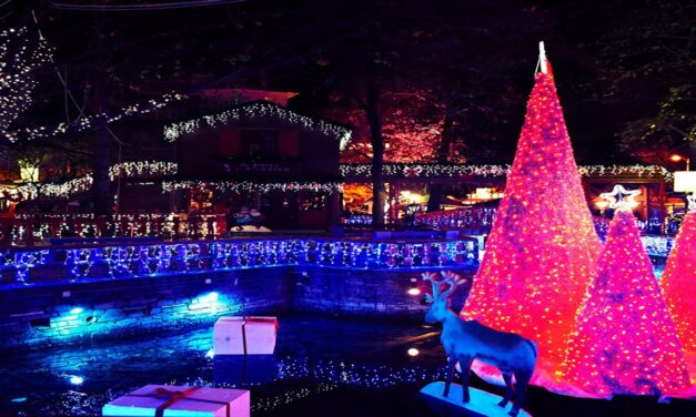 Το πρώτο χριστουγεννιάτικο θεματικό χωριό της χώρας έγινε 20 χρονών!