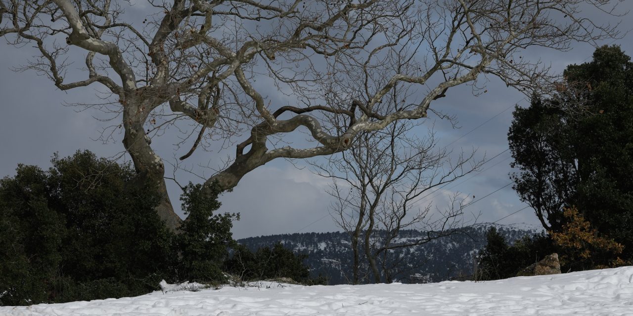Καιρός: Τσουχτερό κρύο και σήμερα – Που θα χιονίσει