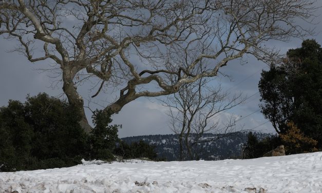 Καιρός: Τσουχτερό κρύο και σήμερα – Που θα χιονίσει