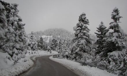 Ελατού: Το ελατοχώρι της Ορεινής Ναυπακτίας