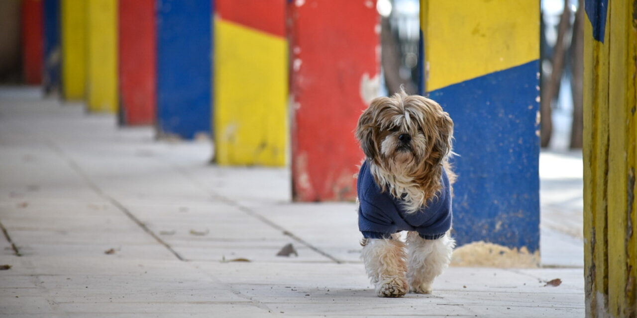 Δήμος Αθηναίων: 410 νέα σύγχρονα και ασφαλή πεζοδρόμια μέχρι το καλοκαίρι του 2023