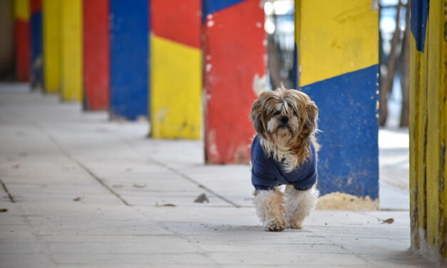 Δήμος Αθηναίων: 410 νέα σύγχρονα και ασφαλή πεζοδρόμια μέχρι το καλοκαίρι του 2023