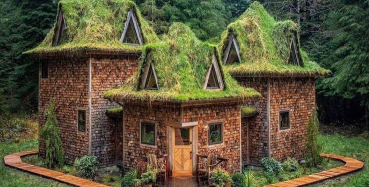 «The Castle Cabin»: Ένα παραμυθένιο καταφύγιο μέσα στο δάσος της βροχής!