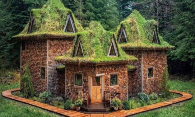 «The Castle Cabin»: Ένα παραμυθένιο καταφύγιο μέσα στο δάσος της βροχής!