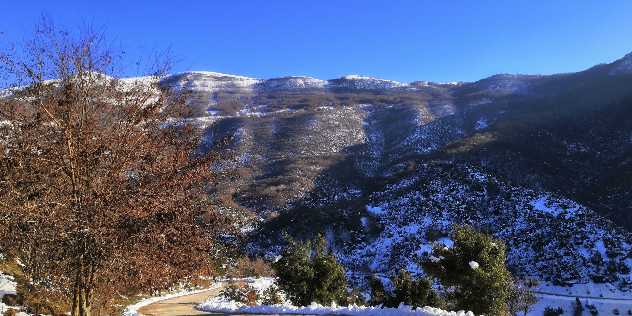 Παγγαίο: Κατάφυτες πλαγιές γεμάτες εκπλήξεις