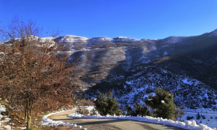 Παγγαίο: Κατάφυτες πλαγιές γεμάτες εκπλήξεις