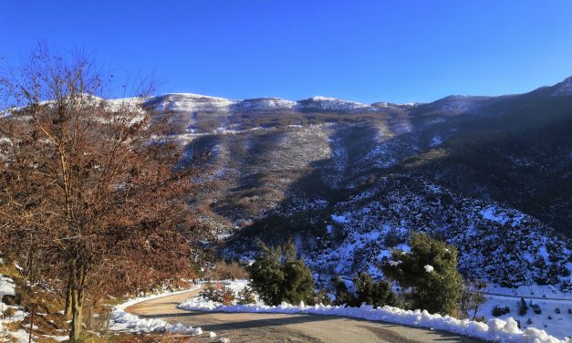 Παγγαίο: Κατάφυτες πλαγιές γεμάτες εκπλήξεις