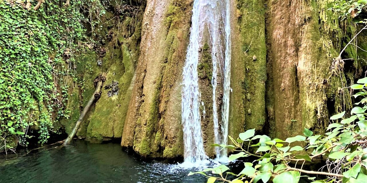 Αηδόνια: Η κρυφή πλευρά της Νεμέας