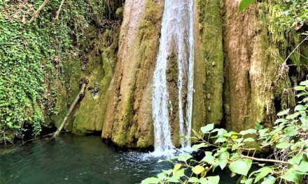 Αηδόνια: Η κρυφή πλευρά της Νεμέας