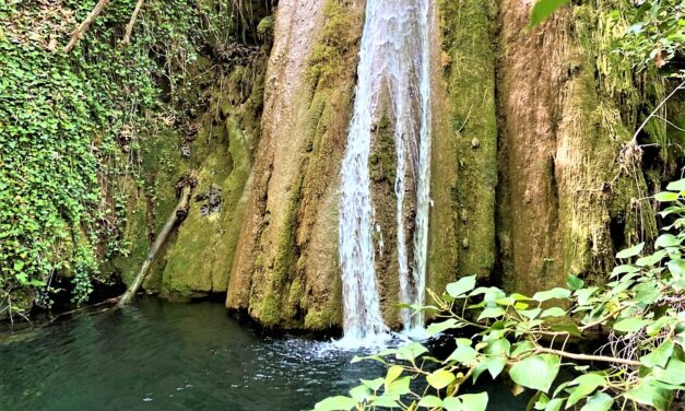 Αηδόνια: Η κρυφή πλευρά της Νεμέας