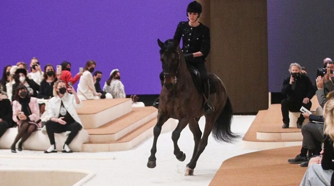 Παρίσι: Εμφανίστηκε στην πασαρέλα… με άλογο