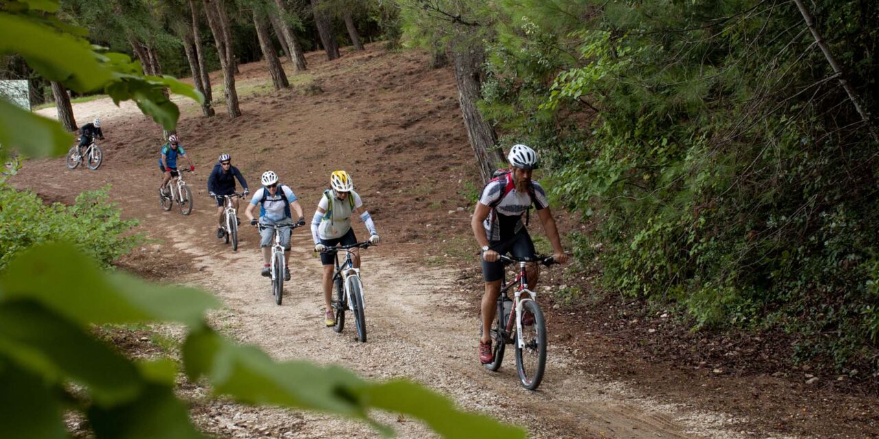 Καταγράφονται τα μονοπάτια ορεινής ποδηλασίας στην Κεντρική Μακεδονία – Ένα ψηφιακό αρχείo με πληροφορίες και βίντεο