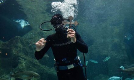 Ένας αγιασμός των υδάτων… διαφορετικός – Εντυπωσιακές εικόνες από το ενυδρείο Κρήτης