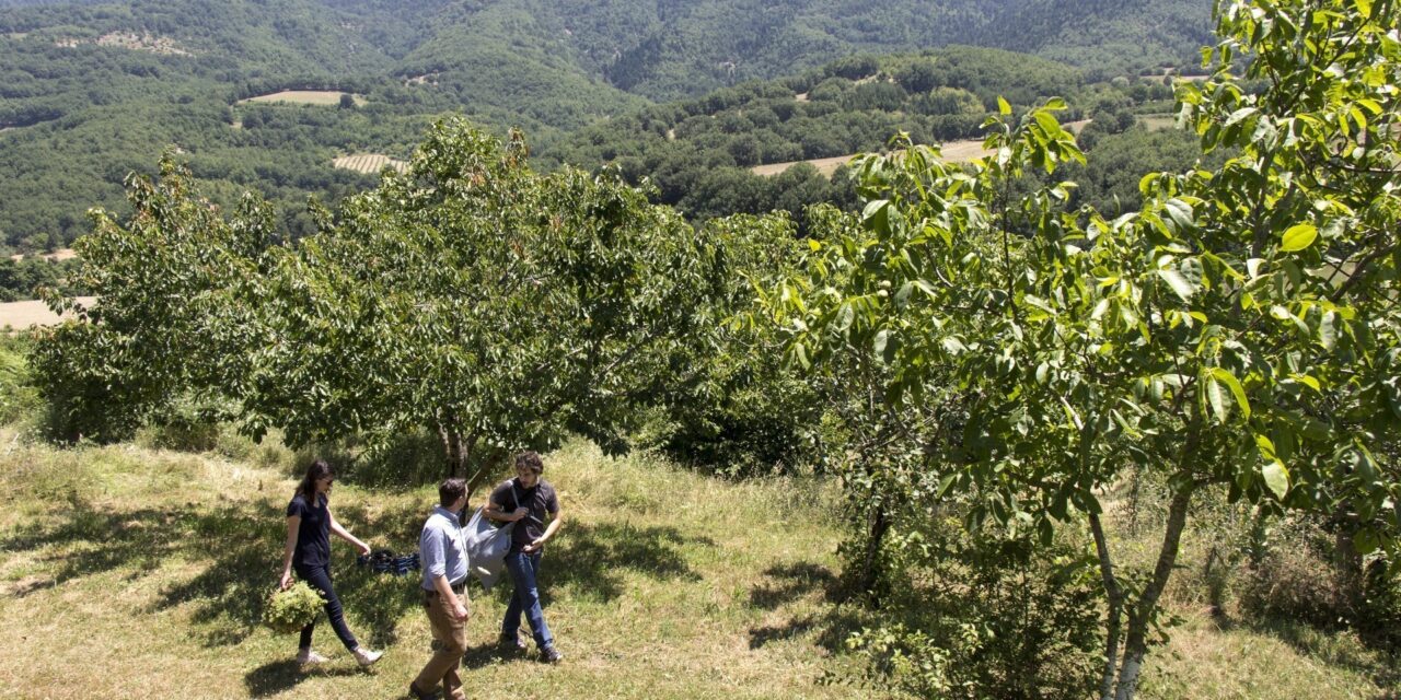 17 εκατ. ευρώ για την προώθηση του γαστρο-αγροτουρισμού – Που θα δοθεί έμφαση