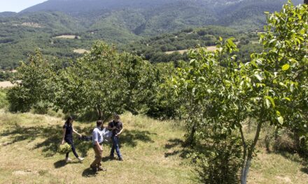 17 εκατ. ευρώ για την προώθηση του γαστρο-αγροτουρισμού – Που θα δοθεί έμφαση