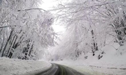 Αυτός ο ελληνικός χιονισμένος δρόμος κάνει τον γύρο του διαδικτύου – Δείτε που βρίσκεται (vid)