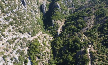 Το ψηλότερο χωριό του Ζαγορίου και η περίφημη Σκάλα του Βραδέτου με τα 1100 λιθόστρωτα σκαλοπάτια