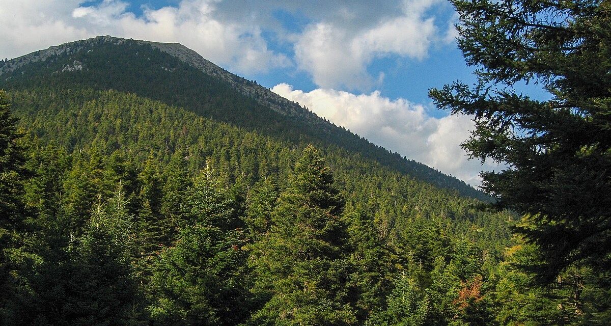 Χρυσοβίτσι: Ταξιδεύοντας στις “άγνωστες” πλαγιές του Μαινάλου