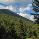 Χρυσοβίτσι: Ταξιδεύοντας στις “άγνωστες” πλαγιές του Μαινάλου