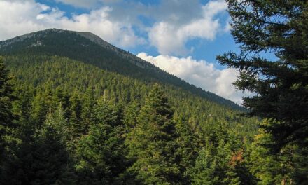 Χρυσοβίτσι: Ταξιδεύοντας στις “άγνωστες” πλαγιές του Μαινάλου