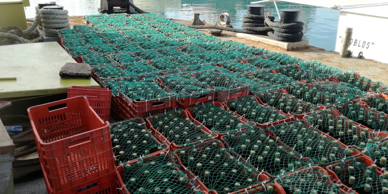 Κρήτη: Βυθισμένο κελάρι στον βυθό της θάλασσας – Μία πρωτότυπη μέθοδος παλαίωσης κρασιού