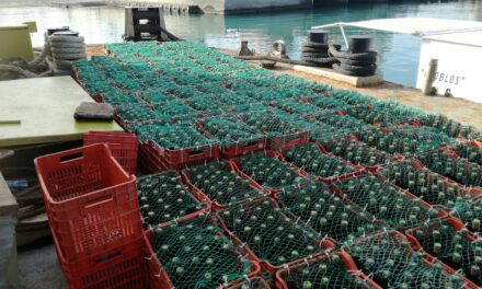 Κρήτη: Βυθισμένο κελάρι στον βυθό της θάλασσας – Μία πρωτότυπη μέθοδος παλαίωσης κρασιού