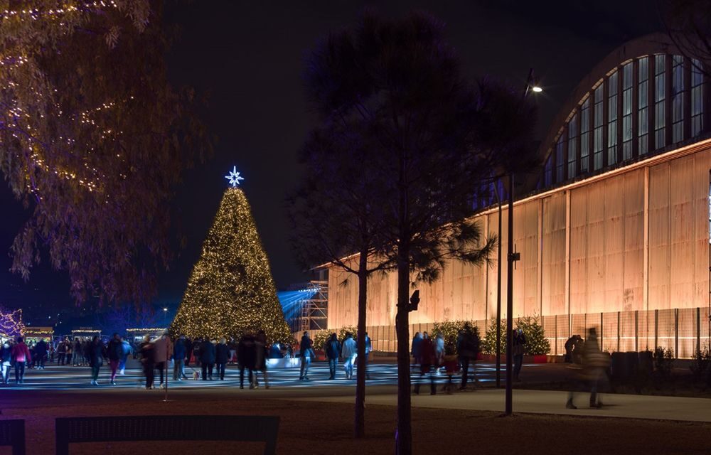 Τα δέντρα του εντυπωσιακού Χριστουγεννιάτικου Δέντρου του The Ellinikon Experience Park βρίσκουν τη νέα τους κατοικία