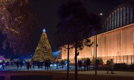 Τα δέντρα του εντυπωσιακού Χριστουγεννιάτικου Δέντρου του The Ellinikon Experience Park βρίσκουν τη νέα τους κατοικία