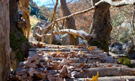 Ζυγοβίστι: Το ιστορικό χωριό που λίγοι γνωρίζουν