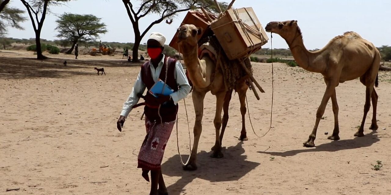 Αιθιοπία: «Ηλιακές καμήλες της γνώσης» φέρνουν ebooks και τάμπλετ σε παιδιά