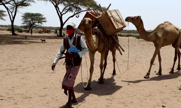 Αιθιοπία: «Ηλιακές καμήλες της γνώσης» φέρνουν ebooks και τάμπλετ σε παιδιά