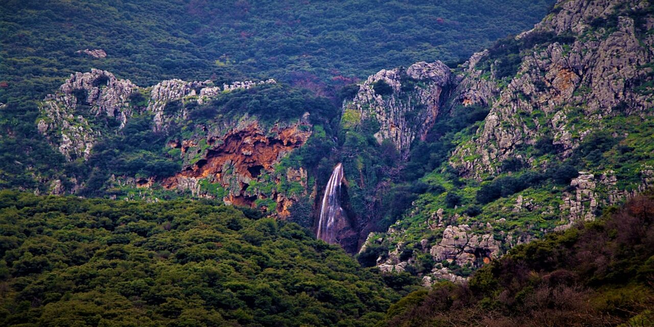 Πέτρα Βοιωτίας: Το ιστορικό χωριό με τους άγνωστους αλλά μαγευτικούς καταρράκτες