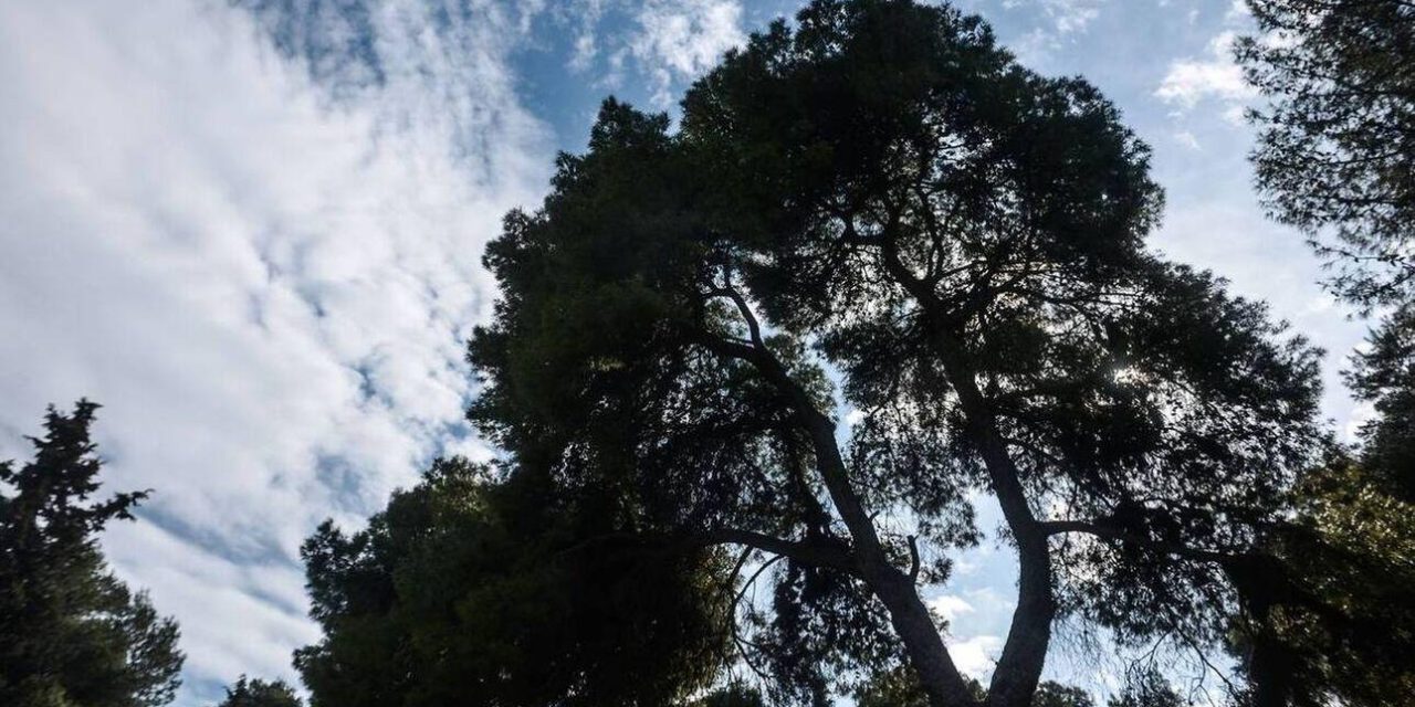Καιρός: Ζέστη, συννεφιά και αφρικανική σκόνη σήμερα