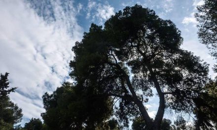 Άστατος ο καιρός σήμερα – Που θα βρέξει