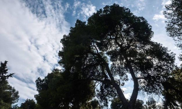 Καιρός: Συννεφιά και σκόνη σήμερα – Πού αναμένονται βροχές