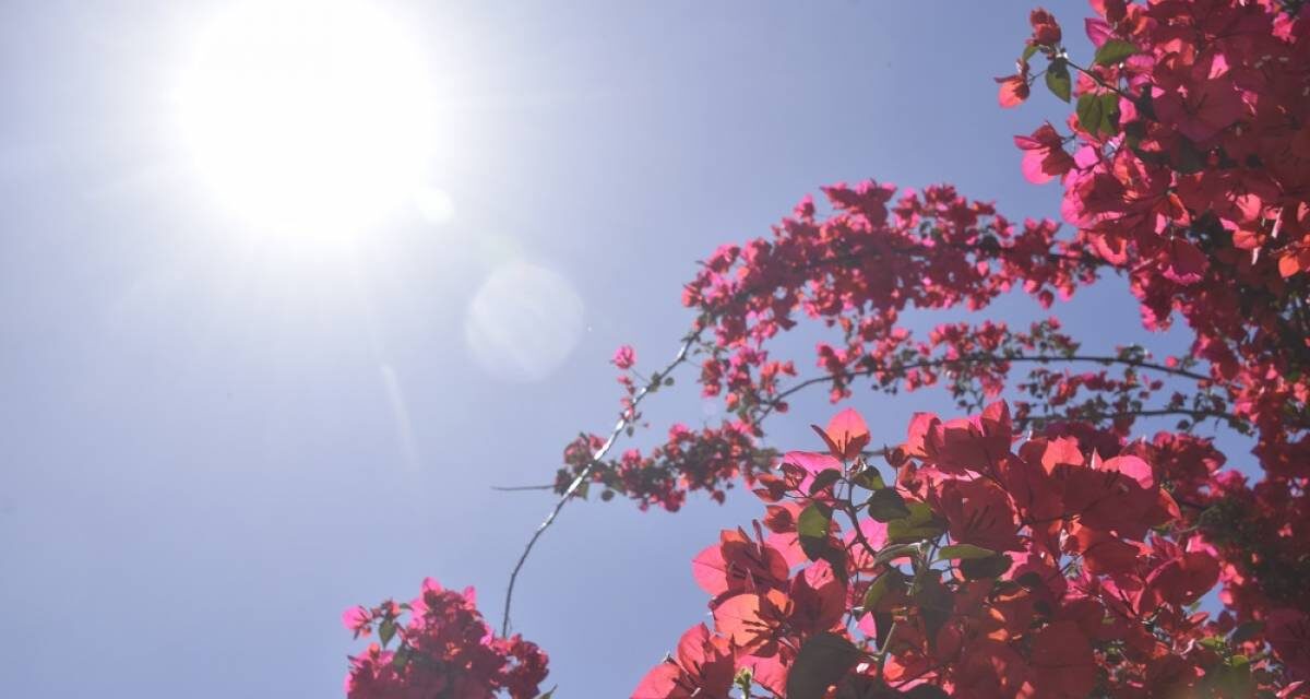 Καιρός: Ήλιος και υψηλές θερμοκρασίες σήμερα