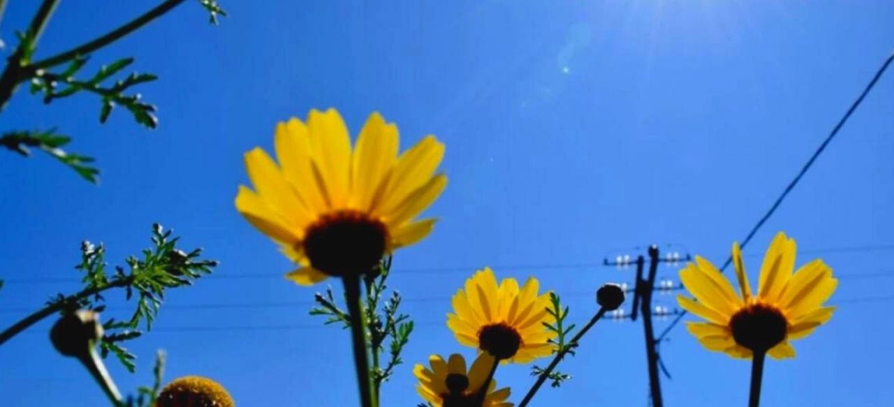 Βελτιώνεται ο καιρός – Ανεβαίνει ο υδράργυρος