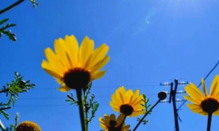 Καιρός: Ήλιος και άνοδος θερμοκρασίας σήμερα