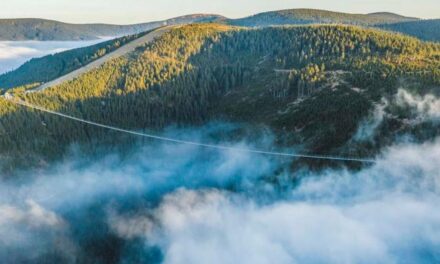 “Sky Bridge”: Έτοιμη η μεγαλύτερη πεζογέφυρα στον κόσμο