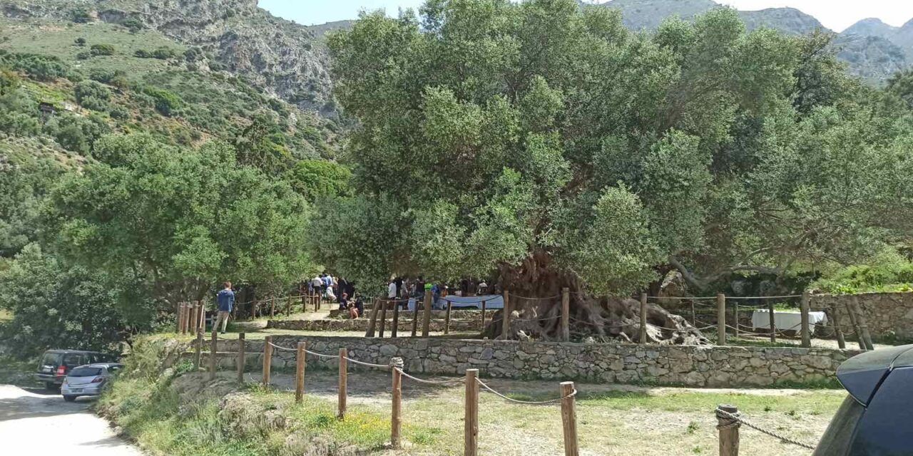 Άνοιξε το πρώτο φυσικό βοτανικό μονοπάτι στην Κρήτη