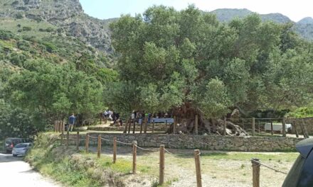 Άνοιξε το πρώτο φυσικό βοτανικό μονοπάτι στην Κρήτη